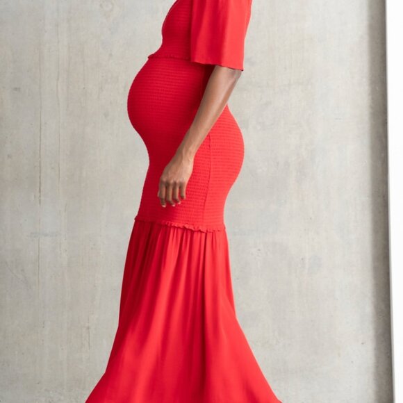 Seraphine Shirred Maternity-To-Nursing Maxi Dress - Picture 4 of 7